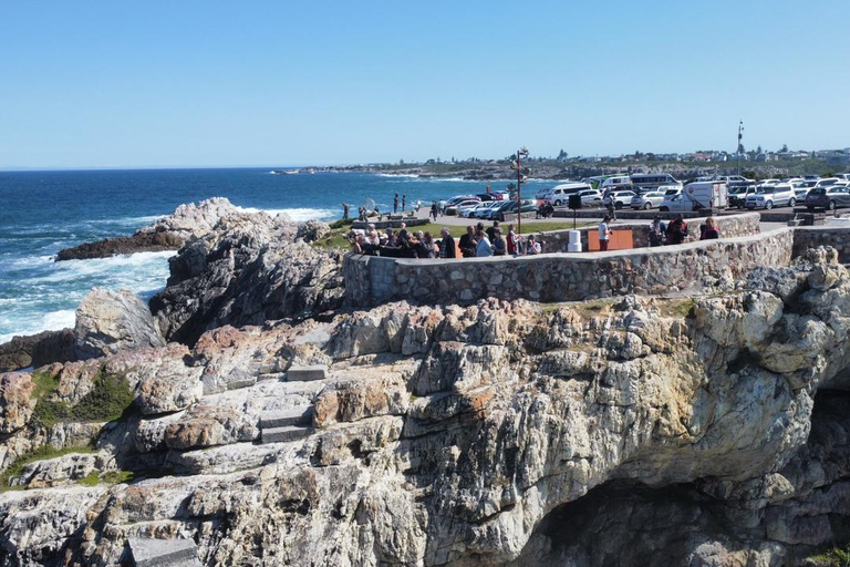 Au départ du Cap : excursion d&#039;observation des baleines à Hermanus avec promenade en bateauAu départ du Cap : excursion d&#039;observation des baleines à Hermanus avec sortie en mer
