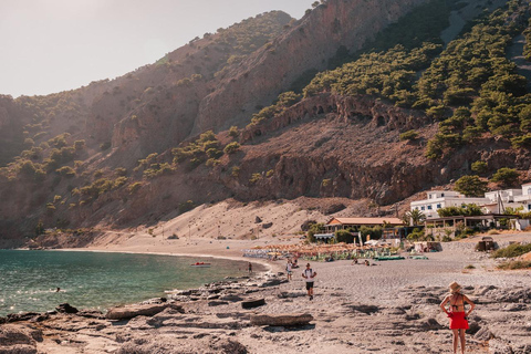 Da Heraklion, Agia Pelagia, Malia: Escursione alle Gole di SamariaPrelievo da Agia Pelagia, Lygaria e Fodele