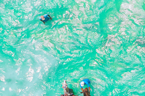 Zanzibar: Horse Riding and Kayaking with Video and Photos