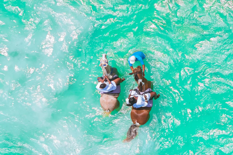 Zanzibar: Horse Riding and Kayaking with Video and Photos