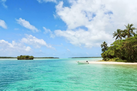 Tobago: Buccoo Reef Glass Bottom Boat TourTobago: Tour en barco con fondo de cristal por el arrecife de Buccoo