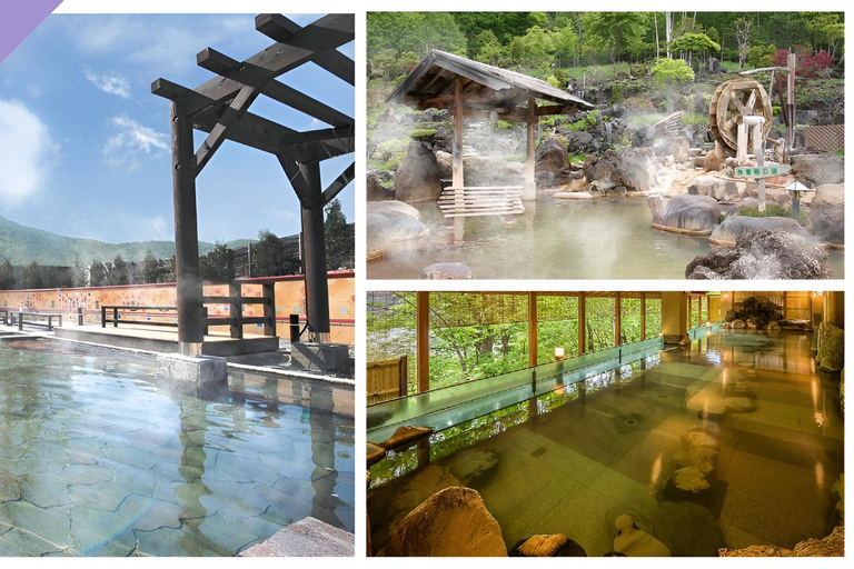 استمتع في هوكايدو (تذكرة مجانية لمدة أسبوع)تذكرة دخول لمدة أسبوع مع إمكانية الوصول إلى 3 مرافق