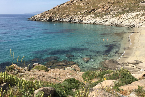 Tour privato: Tour di 4 ore dell&#039;isola di Mykonos - Come un abitante del posto