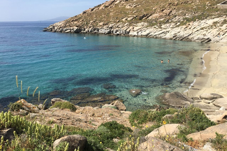 Tour privato: Tour di 4 ore dell&#039;isola di Mykonos - Come un abitante del posto