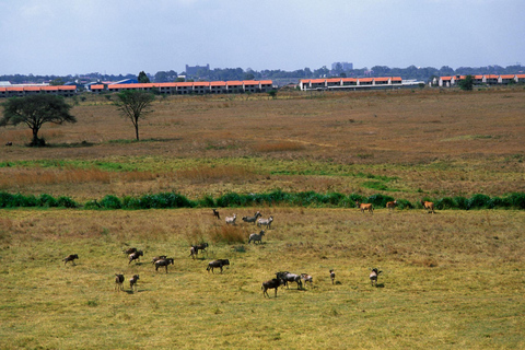Nairobi: National Park Private Tour with Lunch at Carnivore Nairobi: National Park Private Tour without Lunch