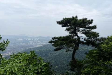 Shanghai: Huishan Ancient Town & Tai Lake Private Day Trip