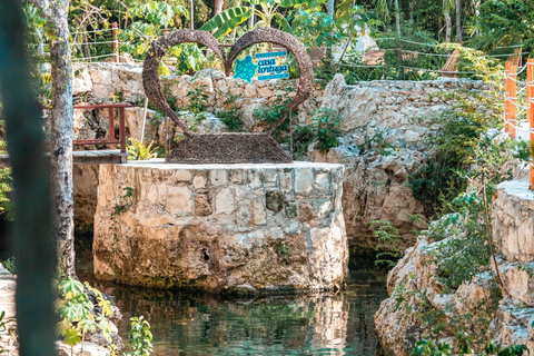 Tour Tulum, cenote Casa Tortuga and Madre naturaleza statue Tulum cenote tortugas