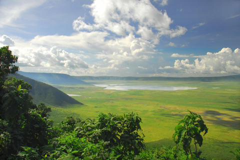 Pacote de safári de 3 dias na Tanzânia para Serengeti e Ngorongoro