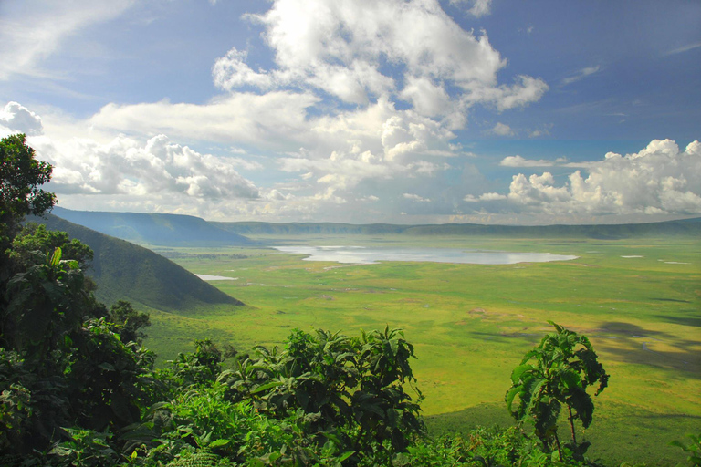 Pacote de safári de 3 dias na Tanzânia para Serengeti e Ngorongoro