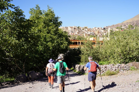 From Marrakech: Atlas Mountains Summit Trek