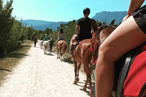 Girona: La Garrotxa Horseback Riding Experience