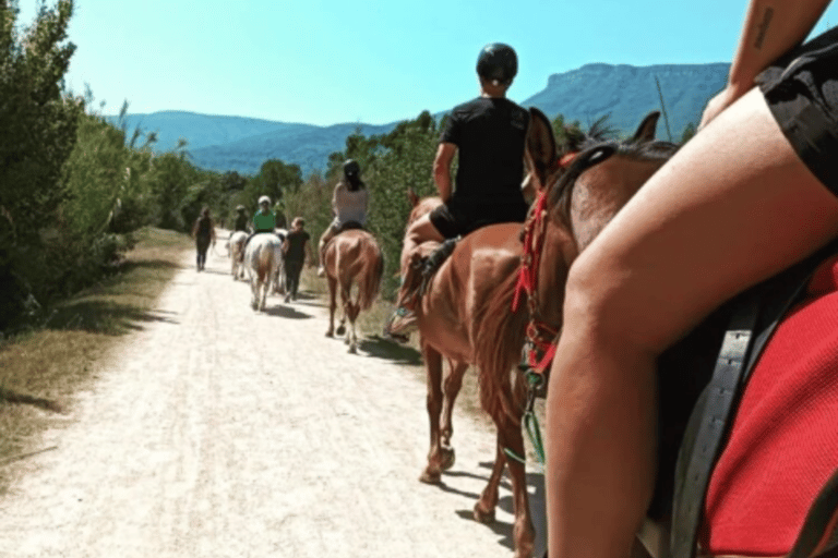 Girona: La Garrotxa Horseback Riding Experience