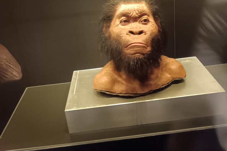 Johannesburg: Cradle Of Humankind & Fossil Discovery Tour