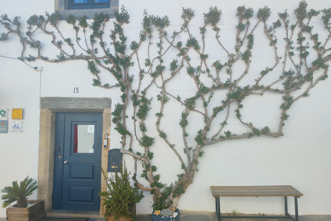 Évora’s UNESCO Sites and the Enchanted Village of Monsaraz