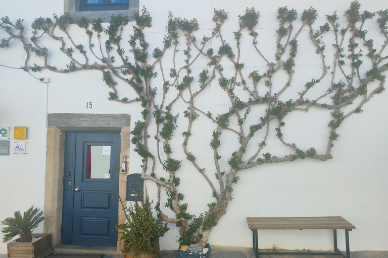 Évora’s UNESCO Sites and the Enchanted Village of Monsaraz