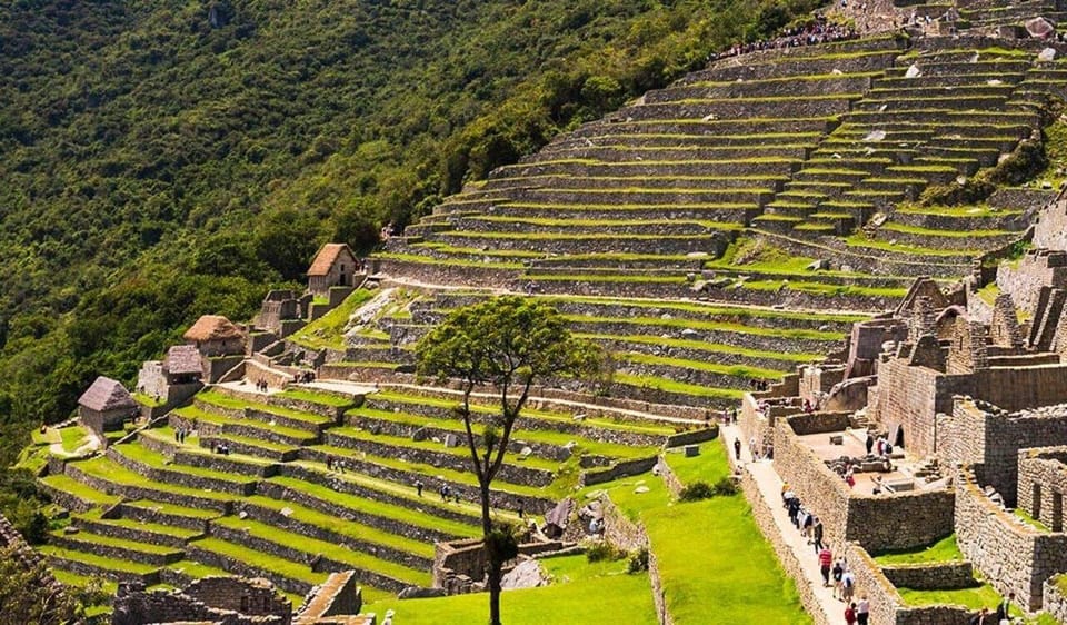 Galería de fotos para redes