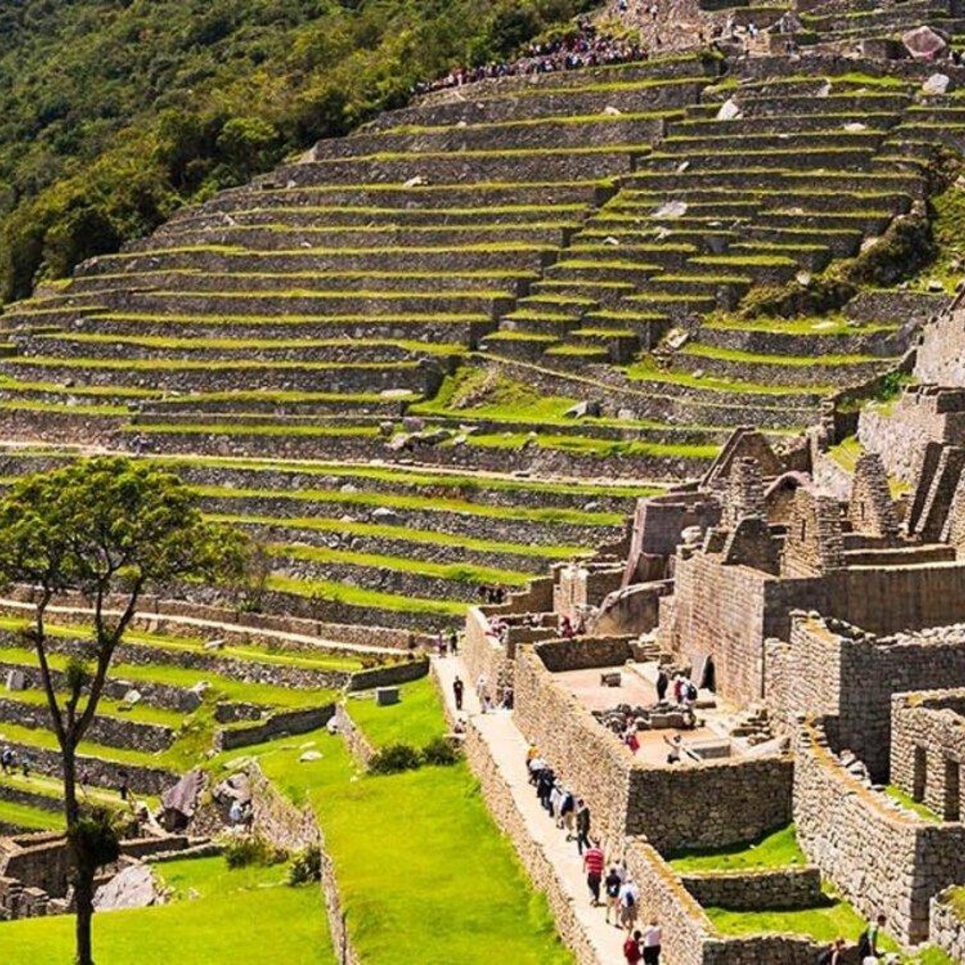 Galería de fotos para redes