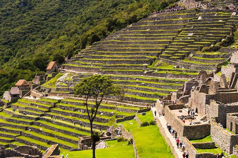 Machu Picchu: Circuit 2A (Classic Route) + Bus & Local Guide Last-Minute: Circuit 3B with Guide Included