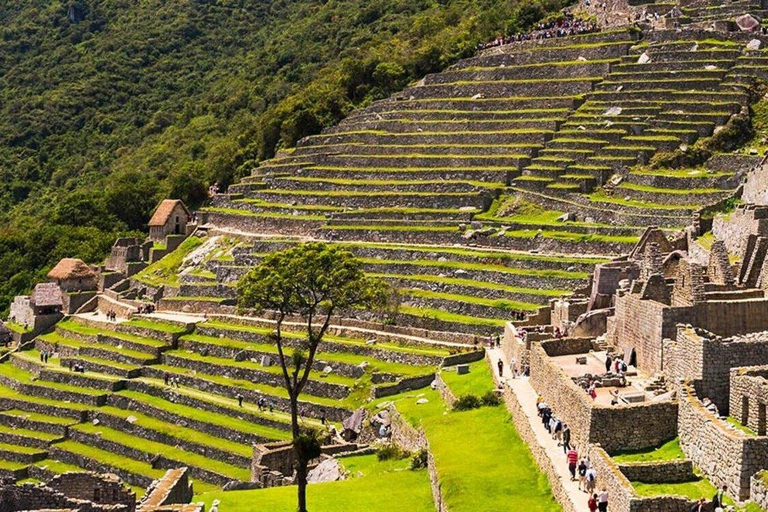 Machu Picchu: Circuit 2A (Classic Route) + Bus & Local Guide Last-Minute: Circuit 3B with Guide Included