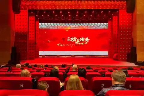 Biglietto per lo spettacolo di kung fu del Teatro Jinsong di Pechino