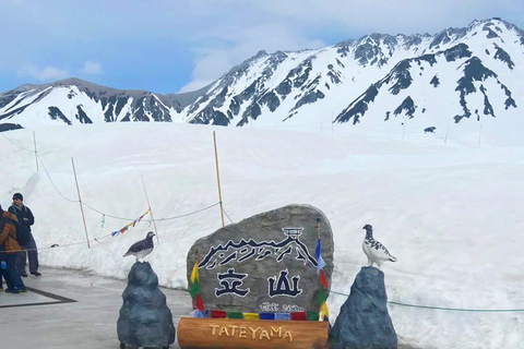 Two-Day Kamikochi & Tateyama Kurobe Snow Corridor Tour