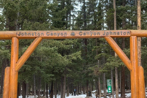 Banff: Private Lake Louise &amp; Johnston Canyon Day Tour