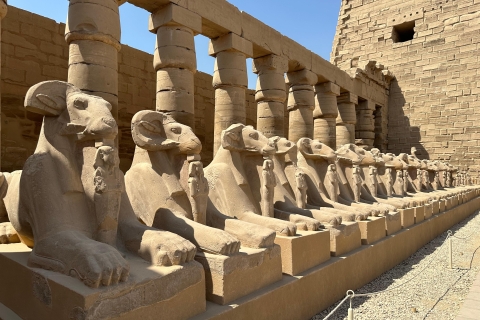 Wycieczka półdniowa do Luksoru, aby zwiedzić świątynie Karnak i Luksor