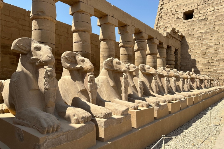 Visite d'une demi-journée à Louxor pour découvrir les temples de Karnak et de Louxor