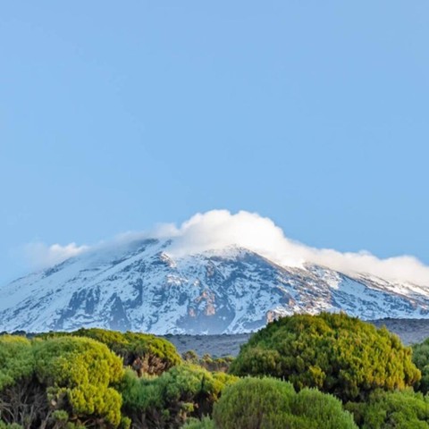 Visit #1. Best Kilimanjaro Day Hike Tour-Machame Route-ISMANI in Moshi