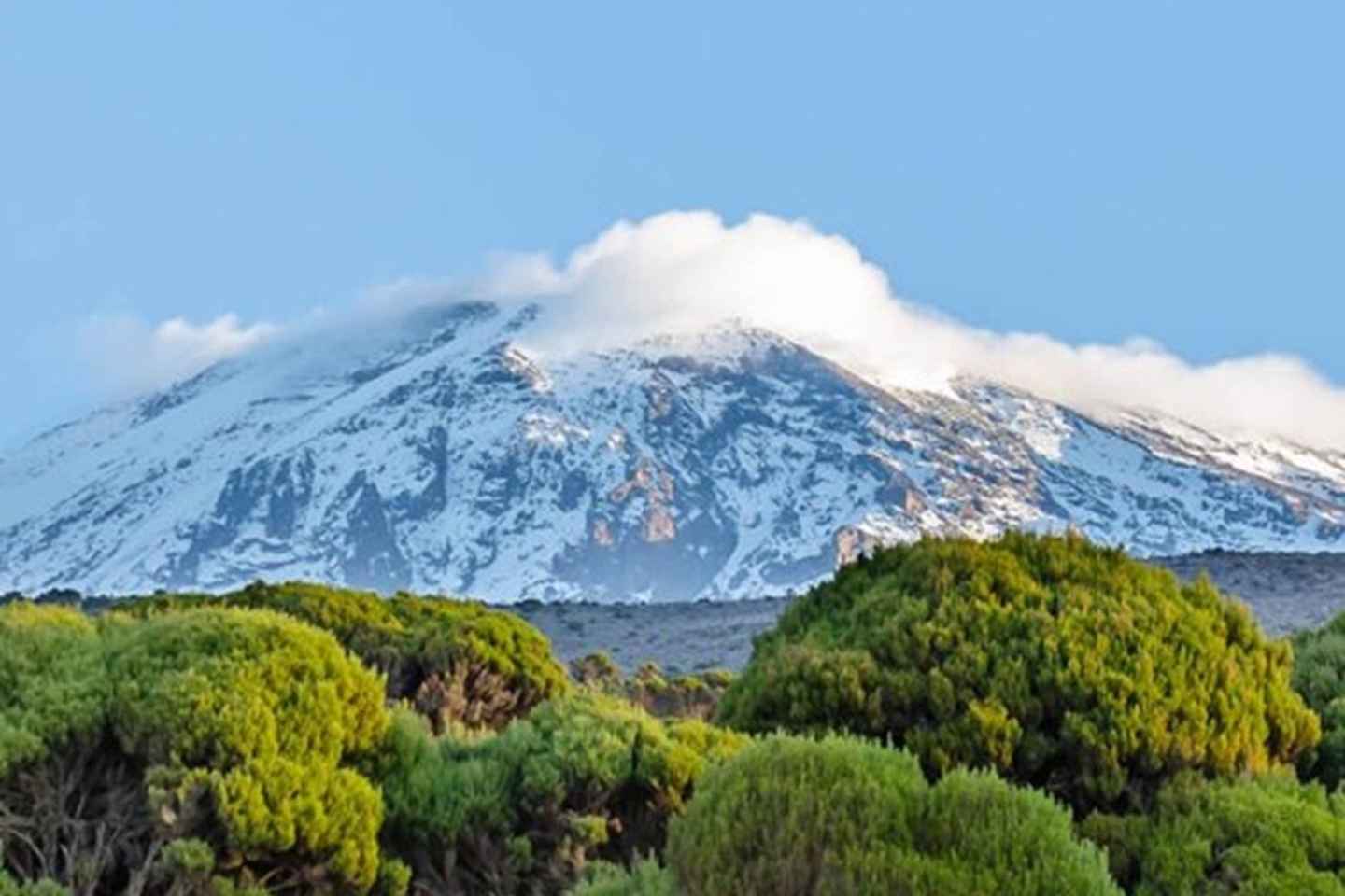 #1. Best Kilimanjaro Day hike Tour-Machame Route-ISMANI - #1. Best Kilimanjaro Day hike Tour-Machame Route-ISMANI