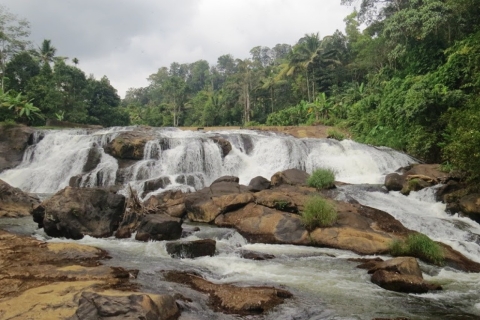 Wasserfälle von Athirapply oder Areekal Tour für 1 bis 8 Personen.Wasserfälle von Athirappally für 9 bis 12 Personen.