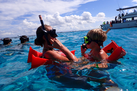 Grand Cayman: Catamaran Cruise with Stingray City & Snorkel