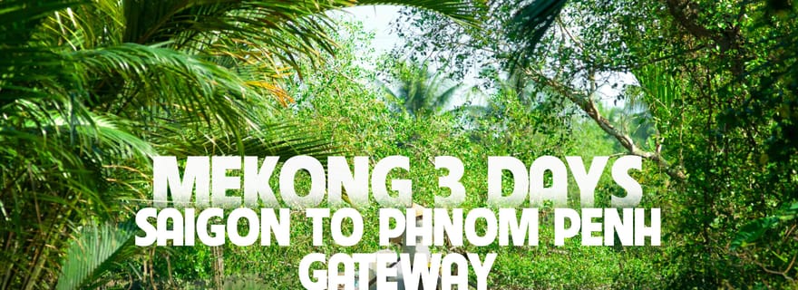 Ho Chi Minh : 3 jours dans le delta du Mékong et sortie optionnelle à Phnom Penh