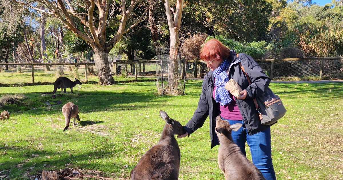 Adelaide: Premium Adelaide Hills Cleland and Hahndorf Tour | GetYourGuide