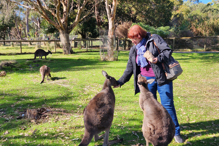 Adelaide: Premium Adelaide Hills Cleland and Hahndorf Tour
