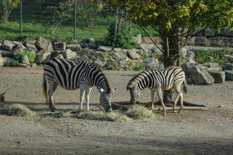 Baku: Baku Zoo Guided Tour with Hotel Pickup