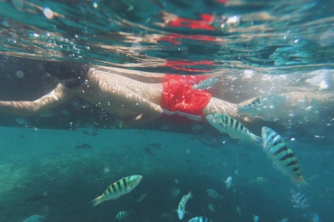 Zanzibar: Tumbatu Island Swimming and Snorkeling | Half day Tumbatu Island Swimming and Snorkeling