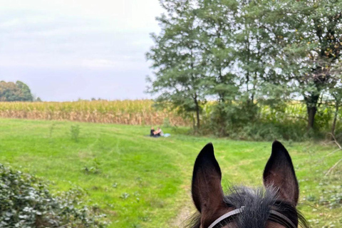 Varese: Horseback Riding through Woodlands and Meadows with Lunch in Fagnano Olona Lunch