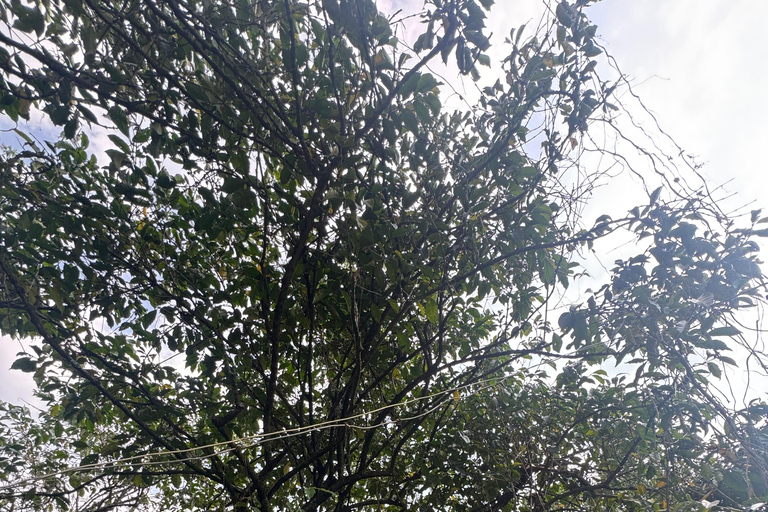 Borana National Park: Wildlife and Birdwatching Tour