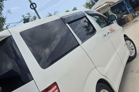 Zanzibar: Airport Private Transfer to/from Hotel Transport to Any hotel in Zanzibar
