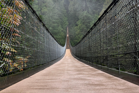 Capilano Suspe Bridge & Grouse Mountain Limited Small Group