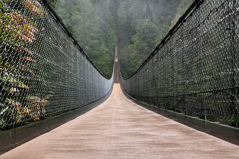Capilano Suspe Bridge & Grouse Mountain Limited Small Group