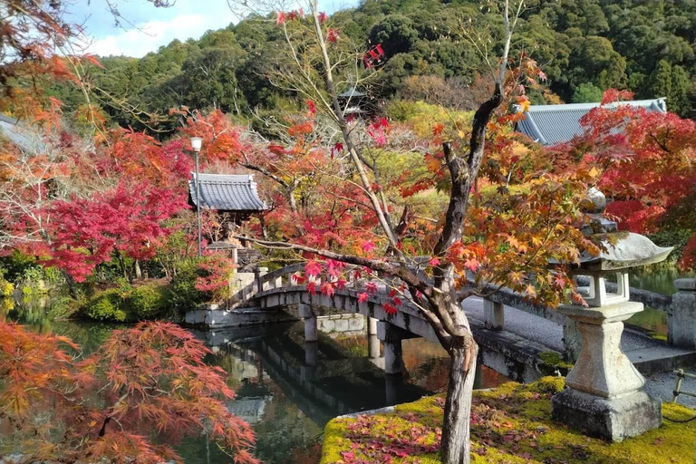 Kyoto: Higashiyama Hues: Discover Kyoto's Autumn Magic