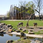 Rotterdam: Biglietto d'ingresso per lo Zoo di Rotterdam Blijdorp