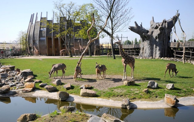 Rotterdam: Rotterdam Zoo Blijdorp Entry Ticket