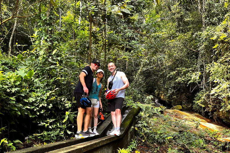 Rio de Janeiro: Christ the Redeemer Forest Hike