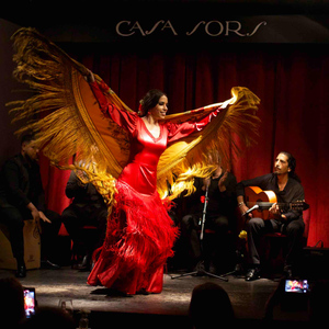 Intime, authentische Flamenco-Show in Barcelona in der Casa Sors