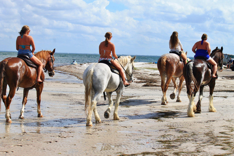 Przejażdżka konna - widok na plażę lub góry: Kapsztad