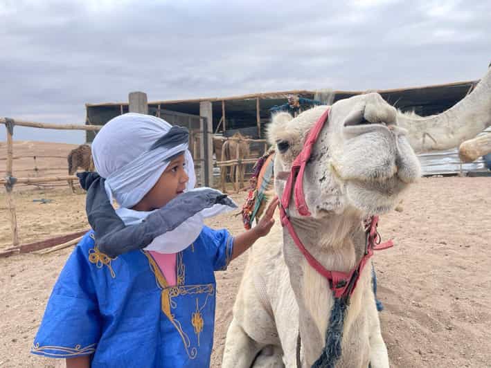 Balade à dos de dromadaire dans le désert Palmeraie Marrakech - dromadaire