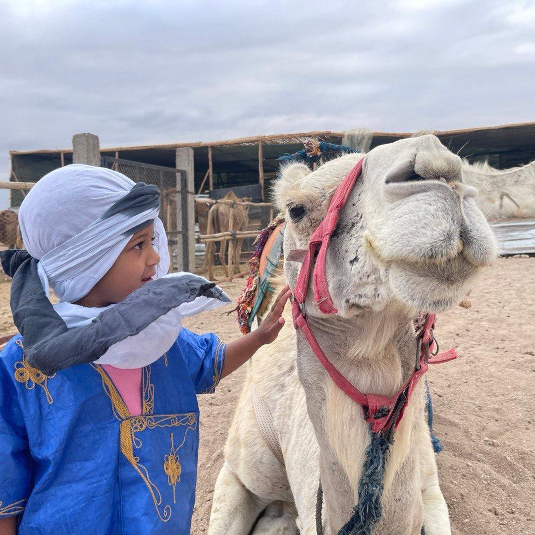 Balade à dos de dromadaire dans le désert Palmeraie Marrakech - dromadaire